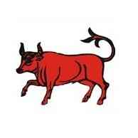 Szczepienia dla seniorów