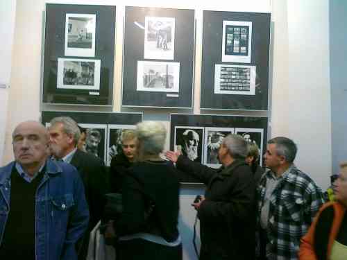 Portret Konina jak sprzed wieków