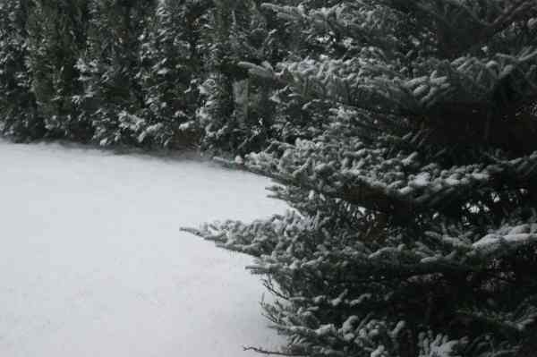 Mamy zimę – ślisko