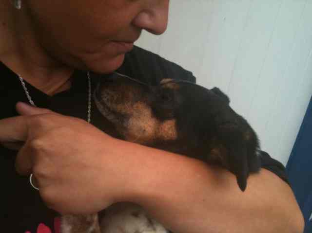 50 oryginalnych zdjęć ze schroniska