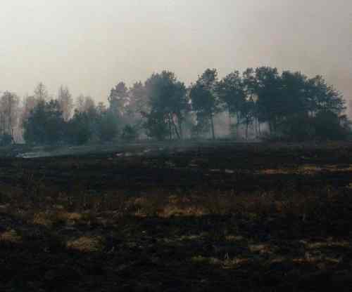 Spłoneły 4 ha traw