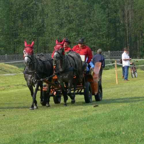 Zaprzęgami konnymi o Puchar Starosty