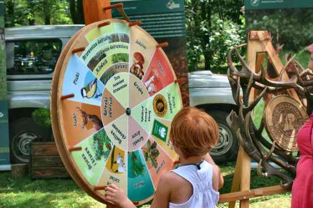 Żyrafa zamiast sarny?