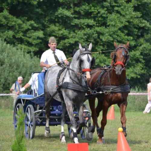 W niedzielę sompoleńskie Święto Dyszla