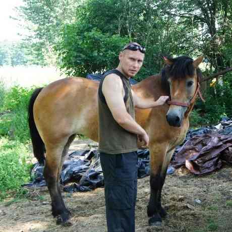 Koń w rękach 'Animalsów’