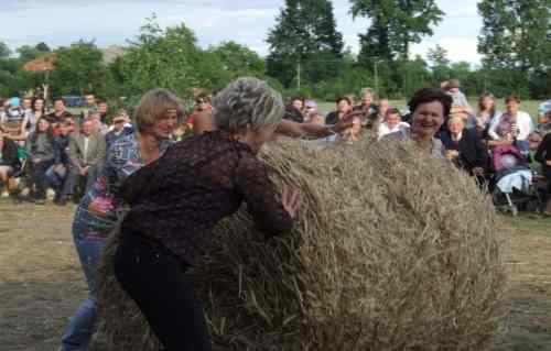 Wbijanie gwoździ i taczki pełne jajek