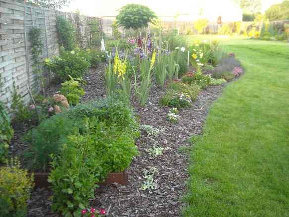 Chcesz, aby Twój ogród był najpiękniejszy?