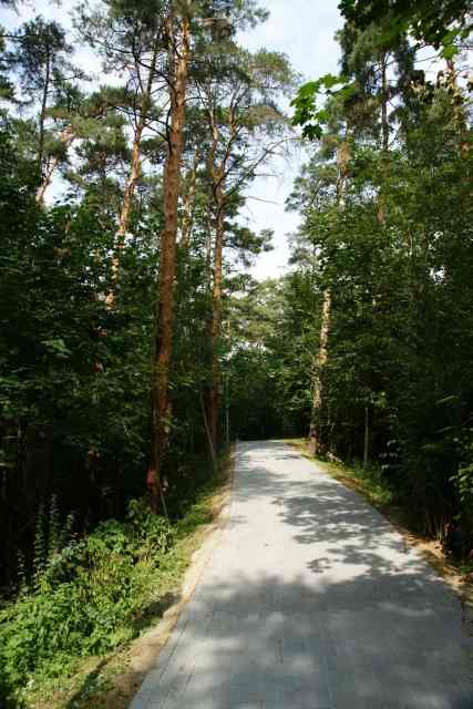 Wędrówka po ścieżkach różańcowych