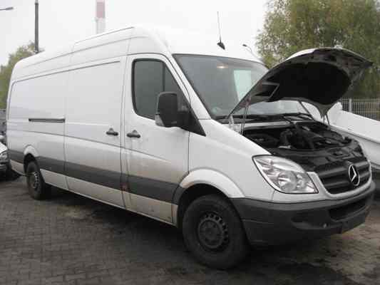 Trumny ze zwłokami w lesie