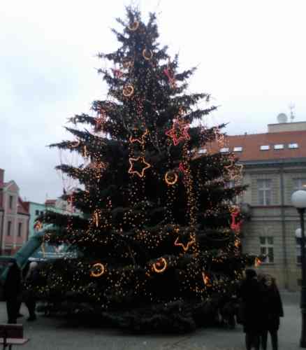Przedświąteczny szał
