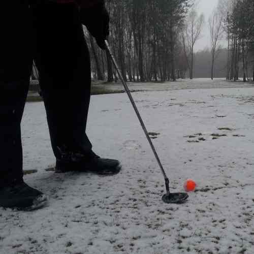 ’Birdie’ w śniegu