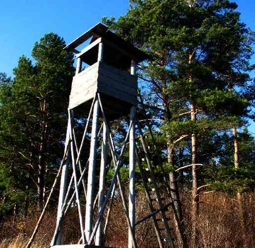 Śmierć na polowaniu