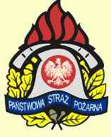 Pożar lasu w Brzeźnie