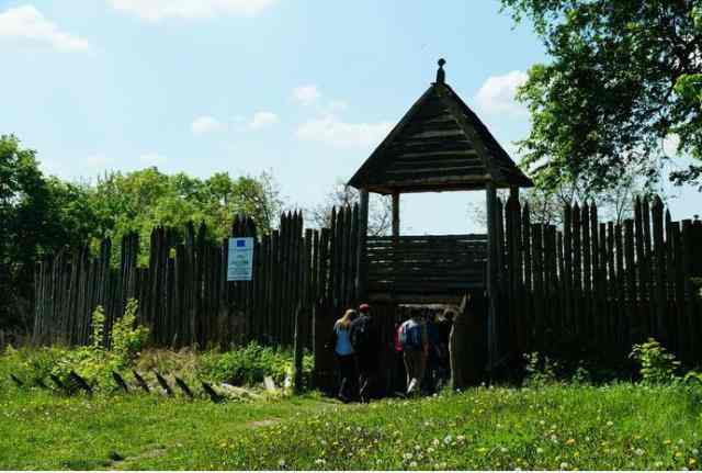 Pokazy, spektakle, prelekcje