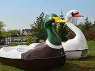 Nowe rowerki wodne w Licheniu