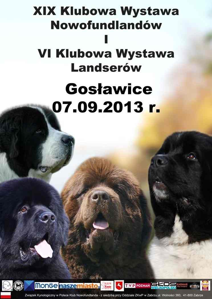 Psi ratownicy w Gosławicach