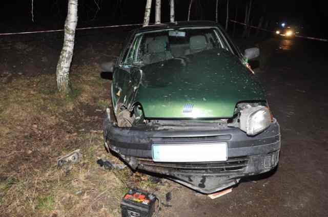 Zatrzymała się na drzewie