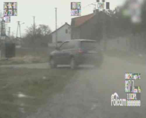 Ucieczka zakończona na drzewie [VIDEO]