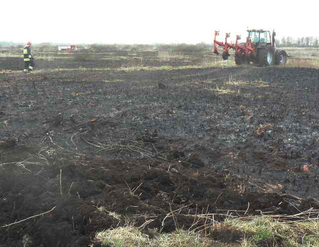 Pożar torfowiska w Brzózkach