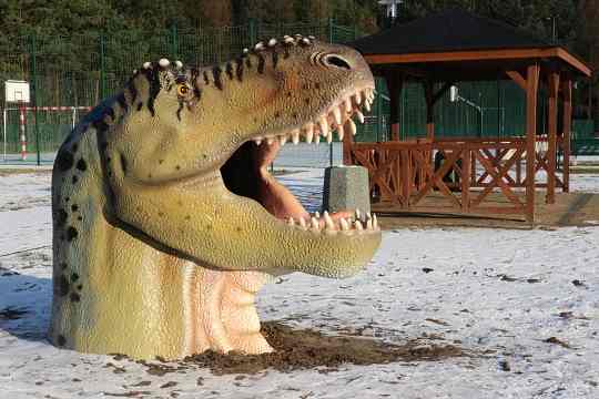 Co widać z głowy tyranozaura?