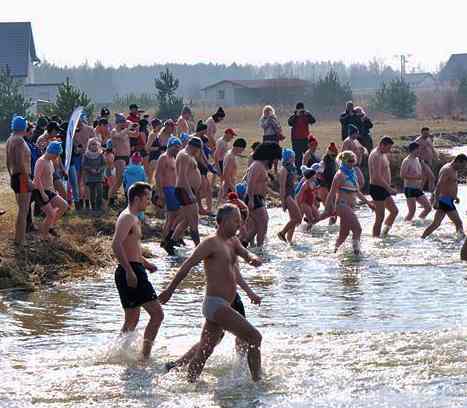 Inwazja morsów w Przykonie