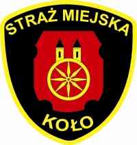 Prawie 1000 mandatów