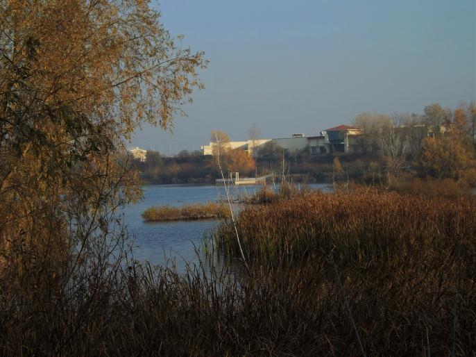 Czy jeziorku Zatorze grozi zagłada?