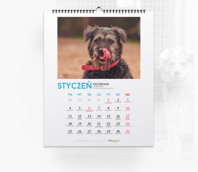 Psy na cały rok