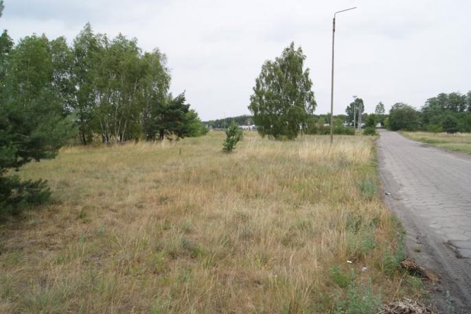 Koło w strefie ekonomicznej