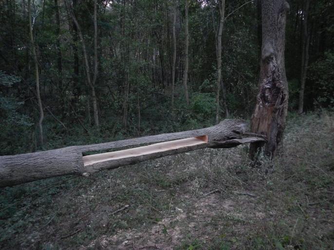 Wernisaż prac Łukasza Gruszczyńskiego