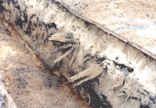 Okazja dla archeologów !