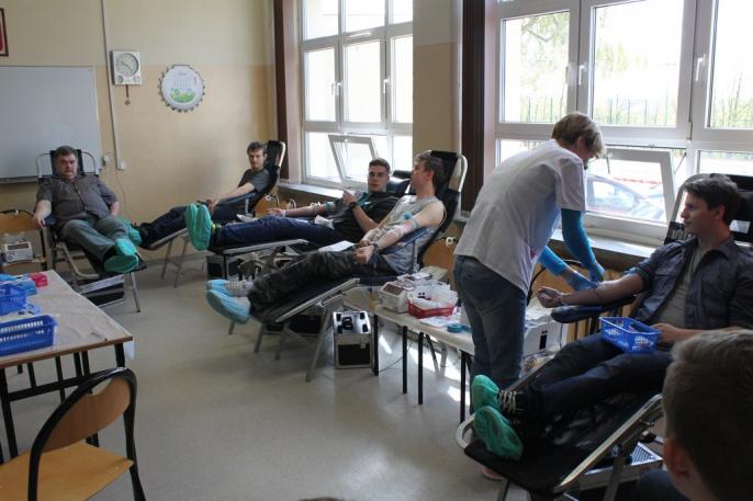 Akacja krwiodawcza w ZSGE