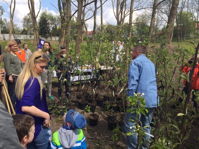 Posadzili drzewka w miejskim sadzie owocowym (Video i Galeria)