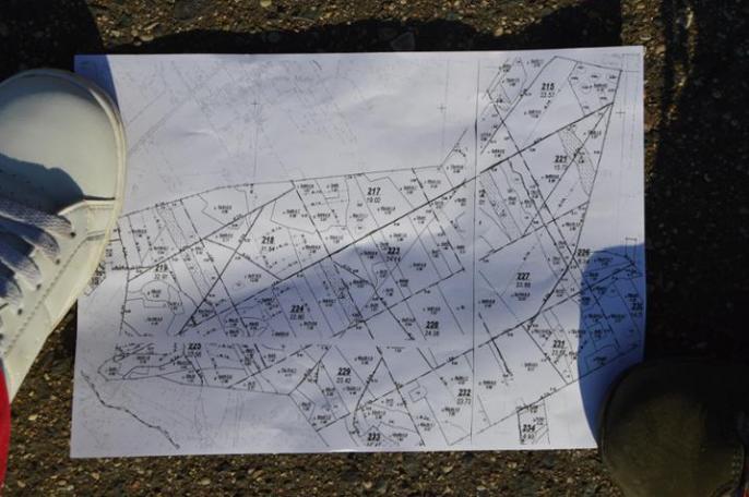 Leśny bieg na orientację