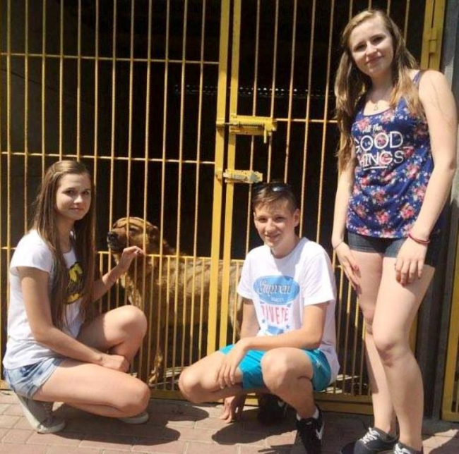 Z POMOCĄ DLA ZWIERZĄT