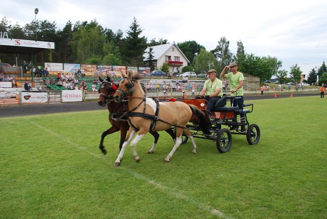 X OTWARTE GMINNE ZAWODY W POWOŻENIU ZAPRZĘGAMI KONNYMI