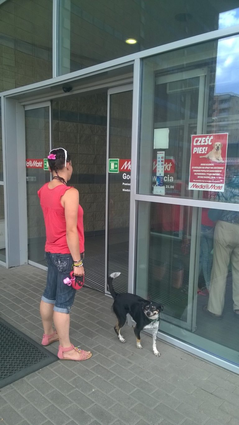 Z psem do Media Markt!