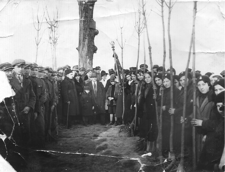 Strzelec sadzi drzewa na Wale Tarejwy