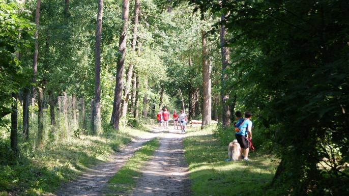LETNI BIEG W NADLEŚNICTWIE KOŁO
