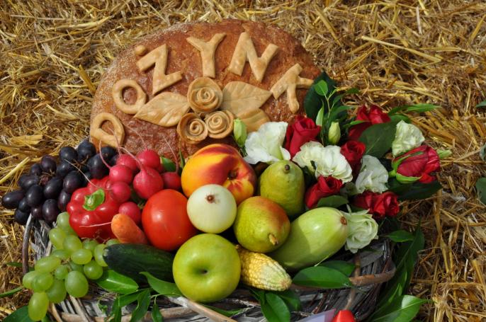 Dożynkowy korowód kroczył przez Bibiannę