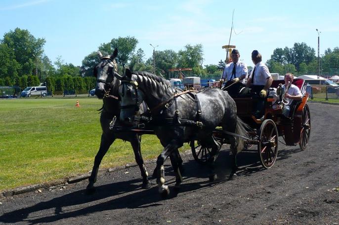 III Powiatowe Zawody Zaprzęgowe o Puchar Starosty Kolskiego