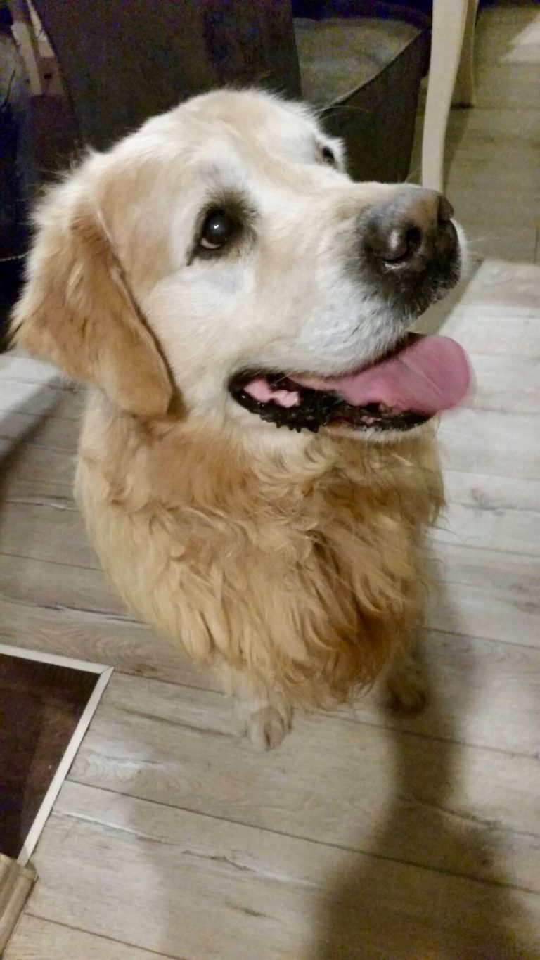 BIEG DLA ZASŁUŻONYCH – pierwsza taka inicjatywa