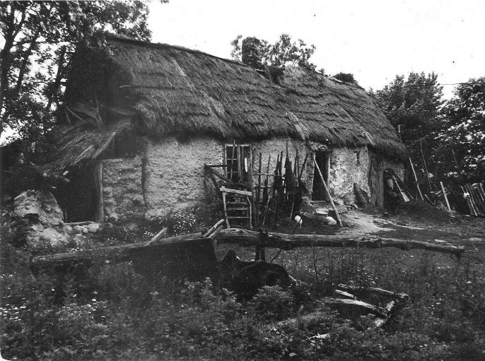 Felieton na weekend – Ciekawość , pierwszy krok…