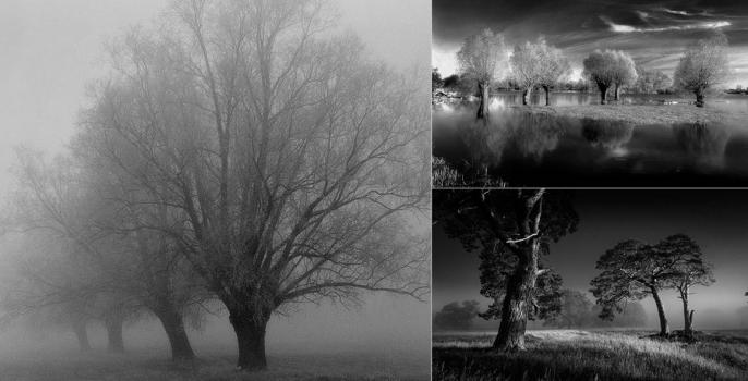 Nowa wystawa Franciszka Kupczyka