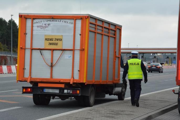 Wspólne działania policjantów i innych służb na autostradzi