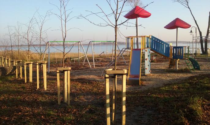 Nowe nasadzenia drzew i krzewów