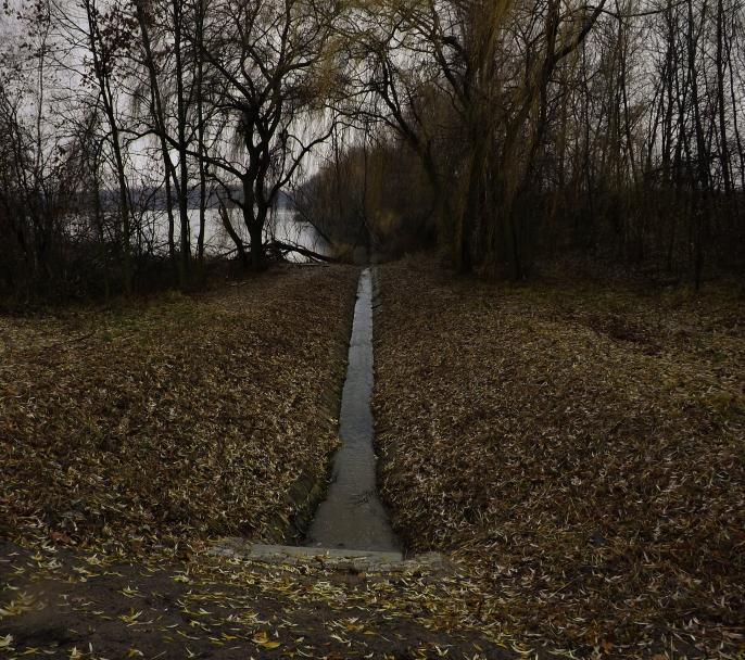 Czytelnik w obronie jeziora Czarna Woda