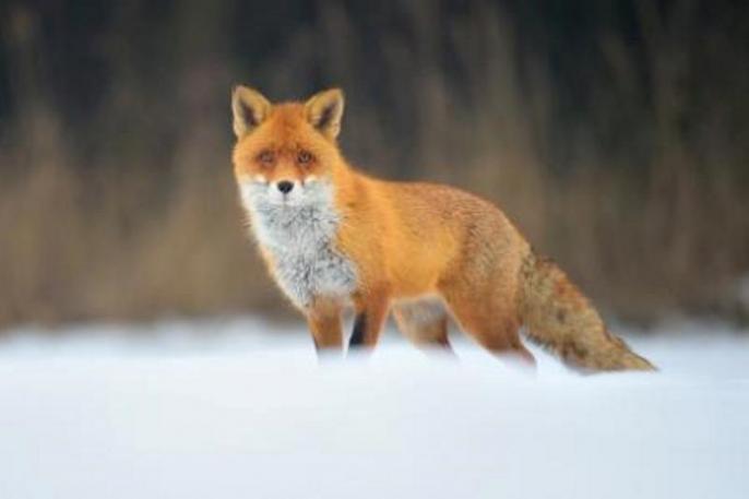 Wielki Konkurs Fotograficzny Cztery Pory Roku – edycja 2016