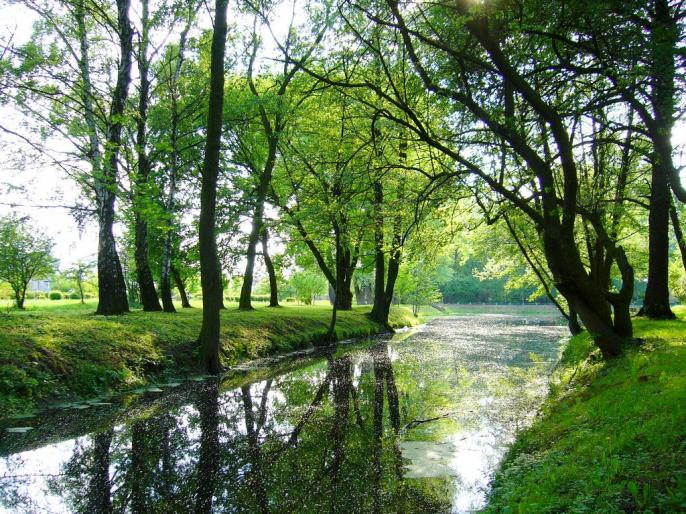 ODŚWIEŻANIE DUŻEGO PARKU