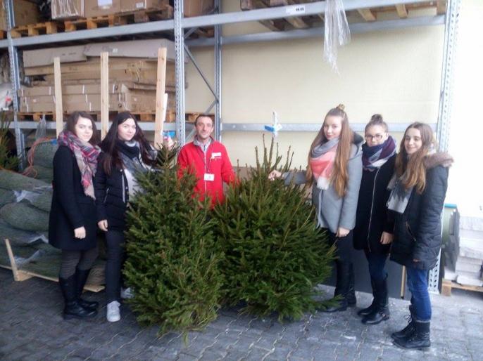 I my też kupowaliśmy choinki….